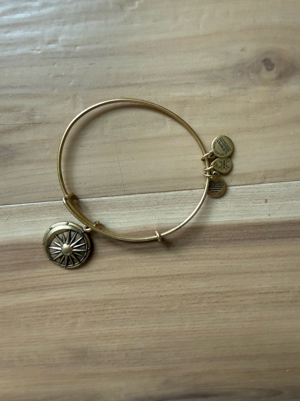 Alex and Ani Gold Compass Locket Bangle Bracelet